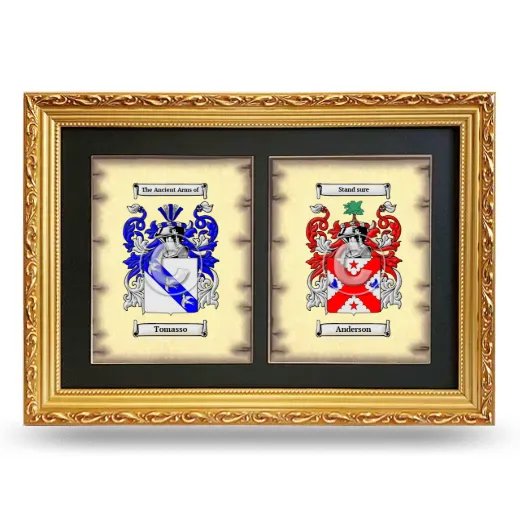 Double Coat of Arms Framed - Gold