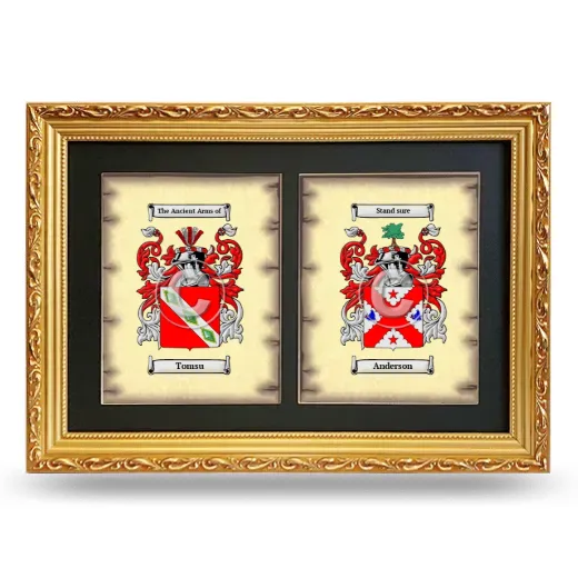 Double Coat of Arms Framed - Gold
