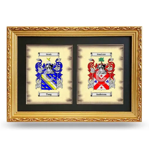 Double Coat of Arms Framed - Gold