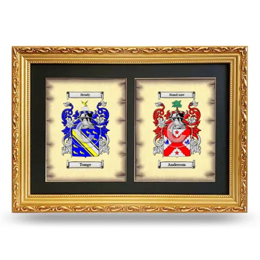Double Coat of Arms Framed - Gold