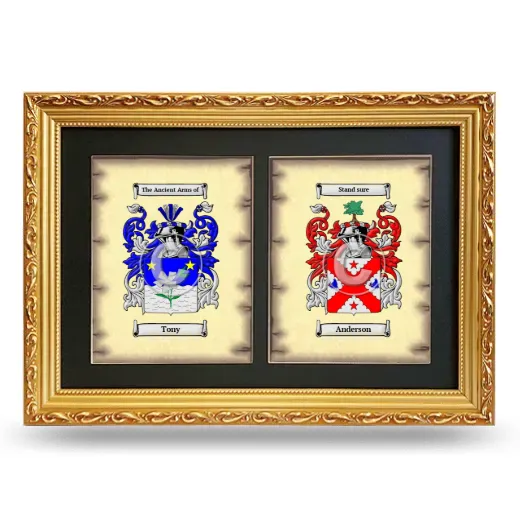 Double Coat of Arms Framed - Gold