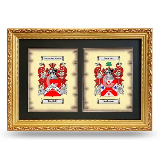 Double Coat of Arms Framed - Gold