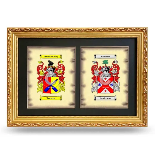 Double Coat of Arms Framed - Gold