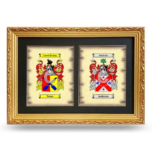 Double Coat of Arms Framed - Gold
