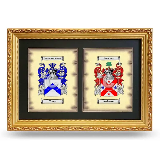 Double Coat of Arms Framed - Gold