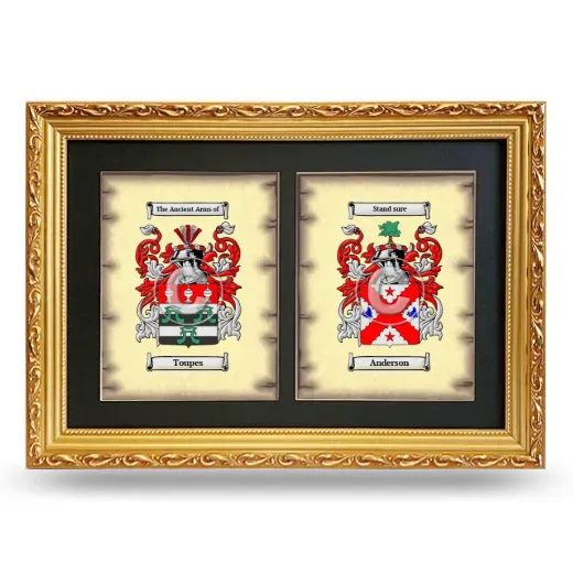 Double Coat of Arms Framed - Gold