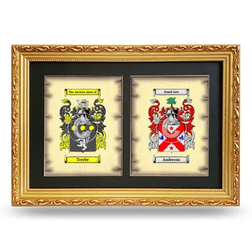 Double Coat of Arms Framed - Gold