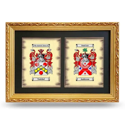 Double Coat of Arms Framed - Gold
