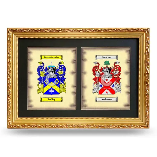 Double Coat of Arms Framed - Gold
