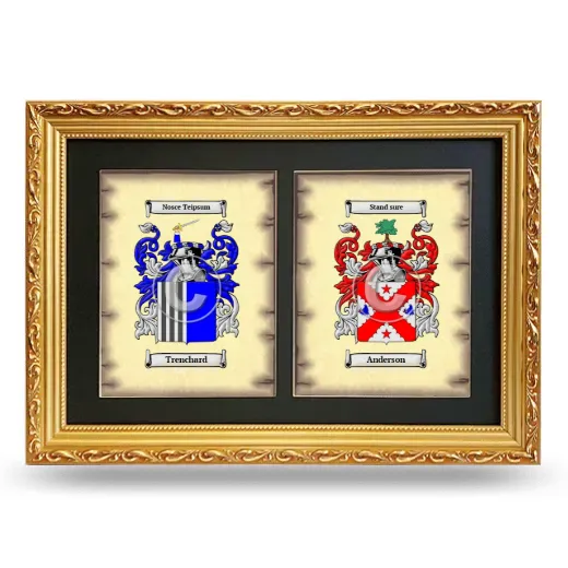 Double Coat of Arms Framed - Gold