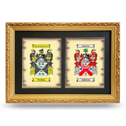 Double Coat of Arms Framed - Gold