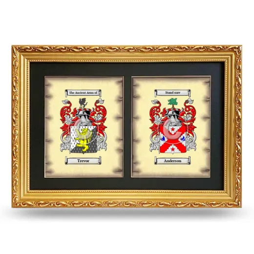 Double Coat of Arms Framed - Gold