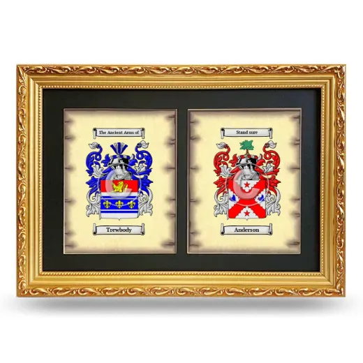 Double Coat of Arms Framed - Gold
