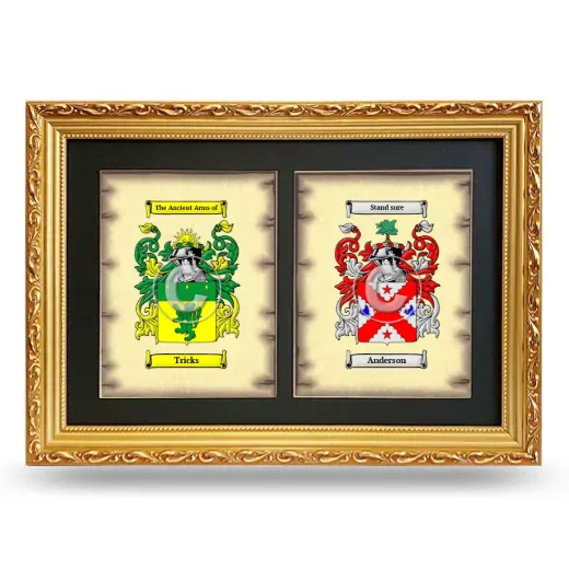 Double Coat of Arms Framed - Gold