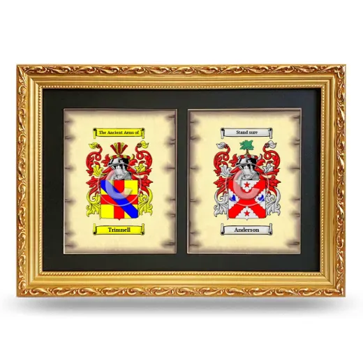 Double Coat of Arms Framed - Gold