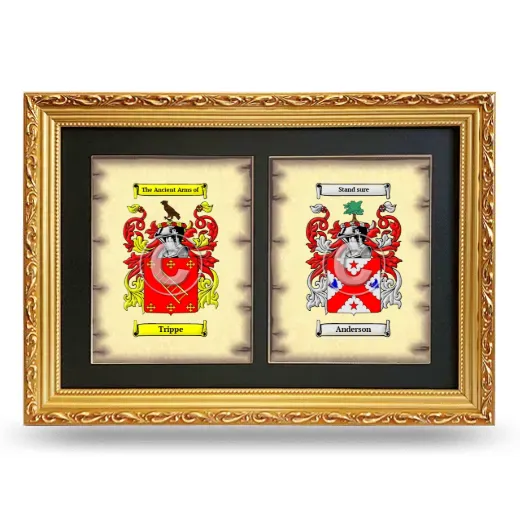Double Coat of Arms Framed - Gold