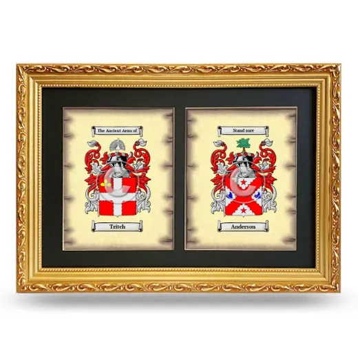 Double Coat of Arms Framed - Gold