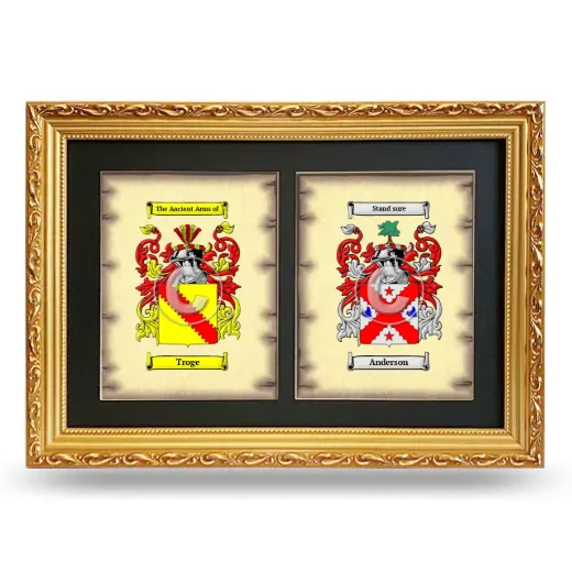 Double Coat of Arms Framed - Gold