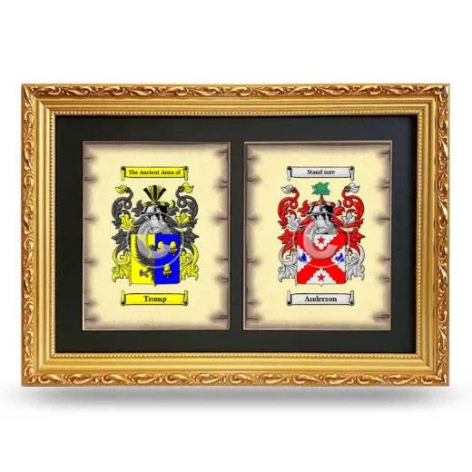 Double Coat of Arms Framed - Gold