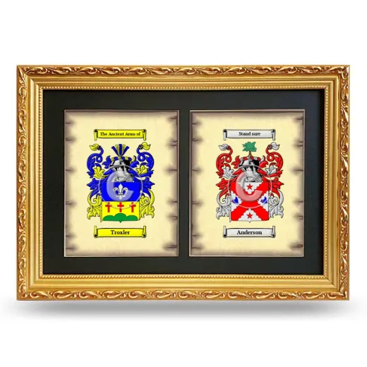 Double Coat of Arms Framed - Gold
