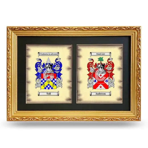 Double Coat of Arms Framed - Gold
