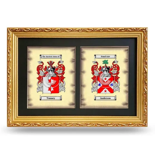 Double Coat of Arms Framed - Gold