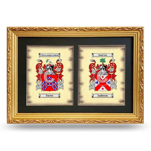 Double Coat of Arms Framed - Gold