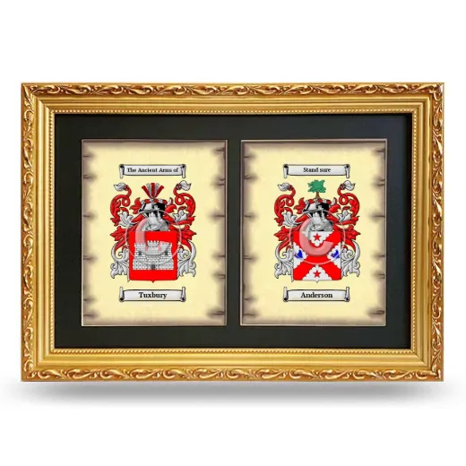 Double Coat of Arms Framed - Gold