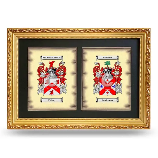 Double Coat of Arms Framed - Gold