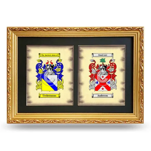 Double Coat of Arms Framed - Gold