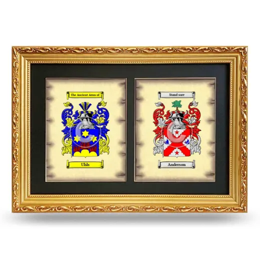 Double Coat of Arms Framed - Gold