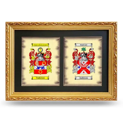Double Coat of Arms Framed - Gold