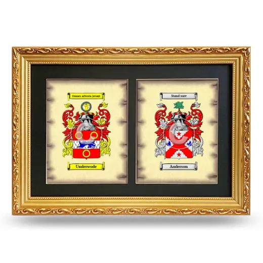 Double Coat of Arms Framed - Gold