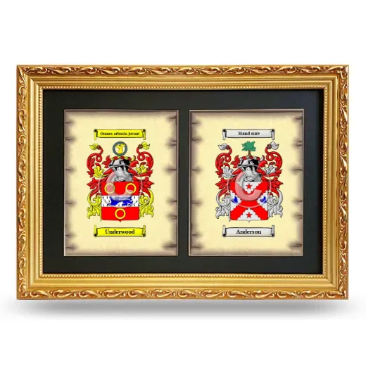 Double Coat of Arms Framed - Gold