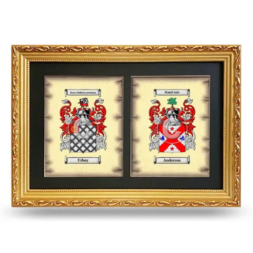 Double Coat of Arms Framed - Gold