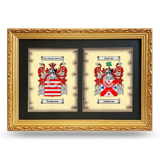 Double Coat of Arms Framed - Gold