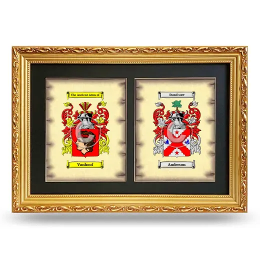 Double Coat of Arms Framed - Gold