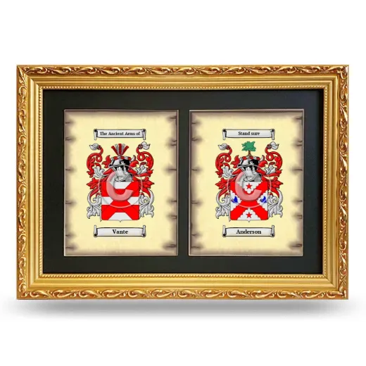 Double Coat of Arms Framed - Gold