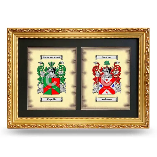 Double Coat of Arms Framed - Gold