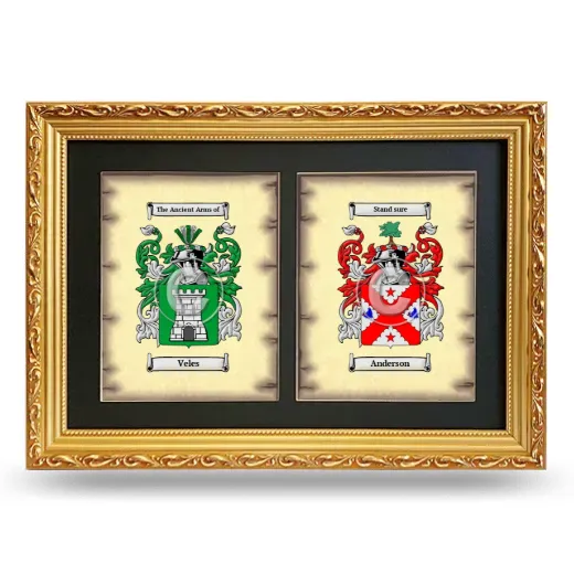 Double Coat of Arms Framed - Gold