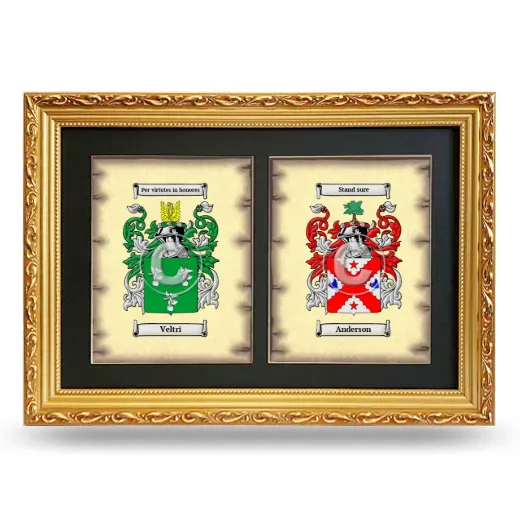 Double Coat of Arms Framed - Gold