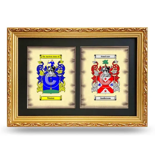Double Coat of Arms Framed - Gold