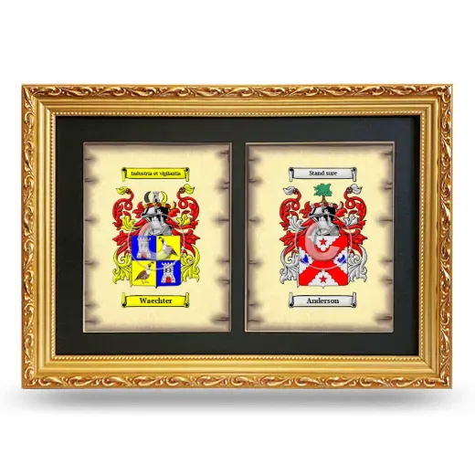 Double Coat of Arms Framed - Gold