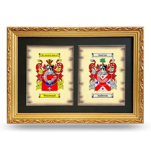 Double Coat of Arms Framed - Gold
