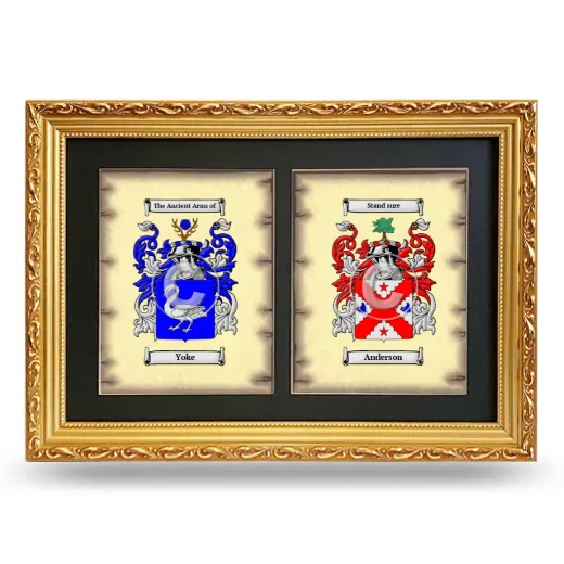 Double Coat of Arms Framed - Gold