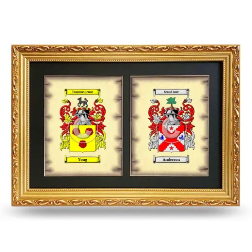 Double Coat of Arms Framed - Gold
