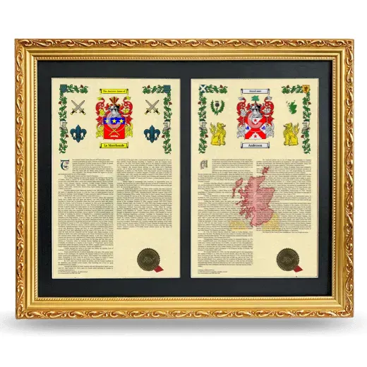 Double Armorial History Framed - Gold