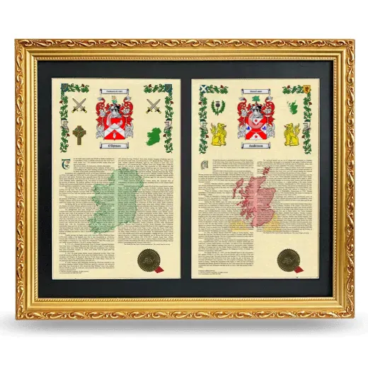 Double Armorial History Framed - Gold