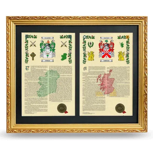 Double Armorial History Framed - Gold