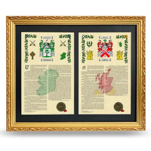 Double Armorial History Framed - Gold